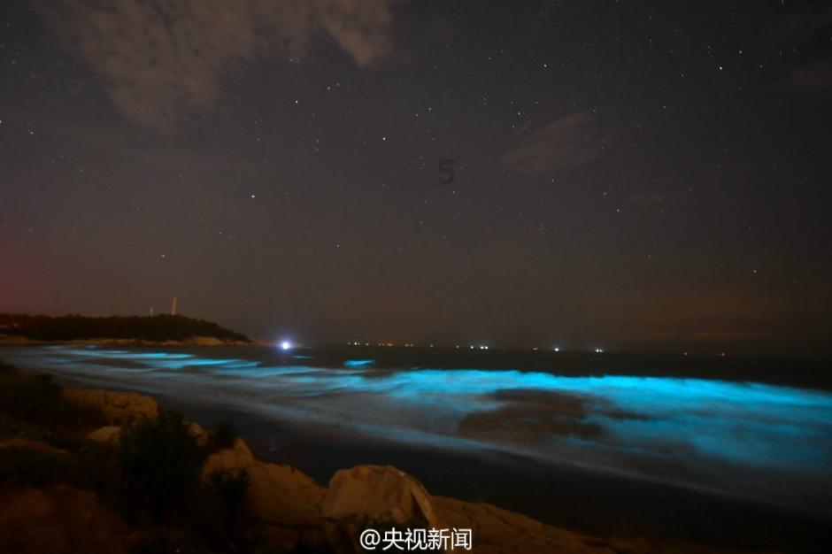 解救可爱的鸭子